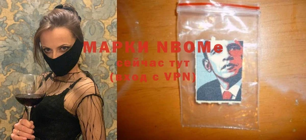 хмурый Абаза