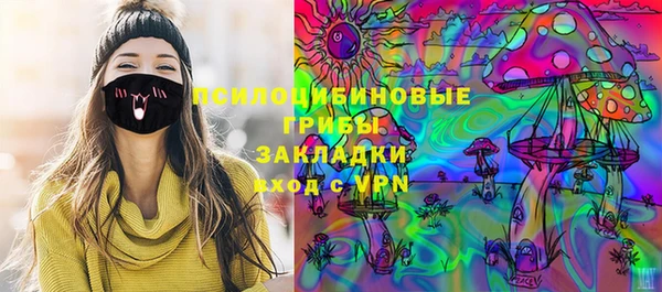 стафф Алексеевка